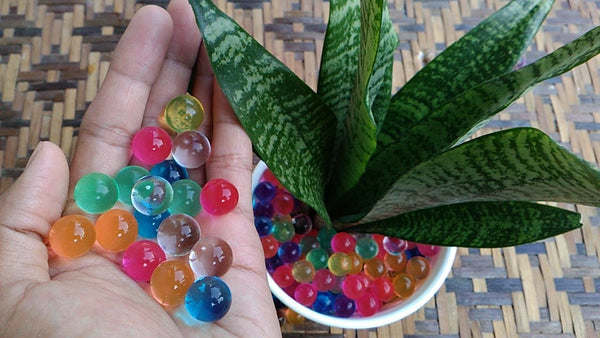 Von Gel-Blaster-Schlachten bis zu grünen Oasen: Recyceln Sie überschüssige Bio-Bälle von Gel-Fun.dk, um Ihre Pflanzen zu gießen!